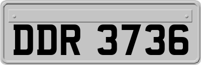 DDR3736
