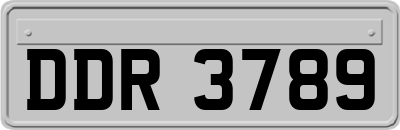 DDR3789