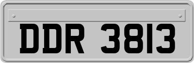 DDR3813