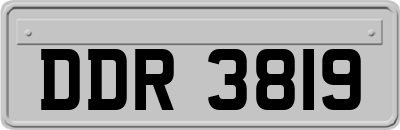 DDR3819