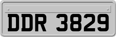 DDR3829