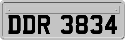 DDR3834