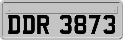DDR3873