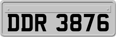 DDR3876