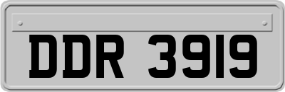 DDR3919