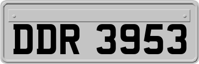 DDR3953