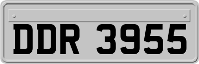 DDR3955