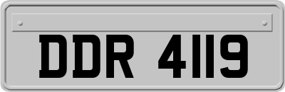 DDR4119