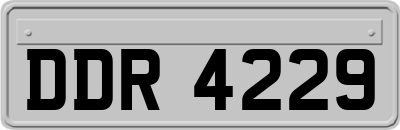 DDR4229