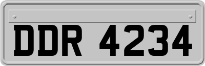 DDR4234