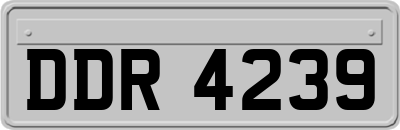 DDR4239