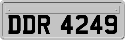 DDR4249