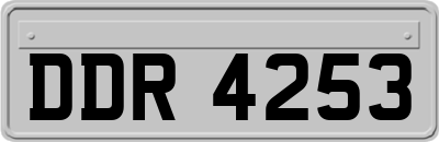 DDR4253