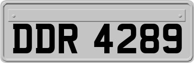 DDR4289