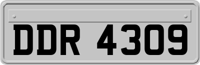 DDR4309