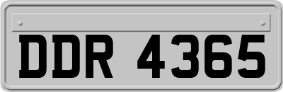 DDR4365