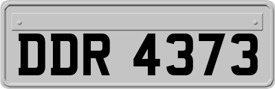 DDR4373