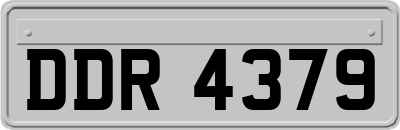 DDR4379