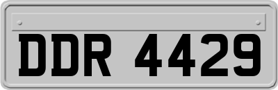 DDR4429