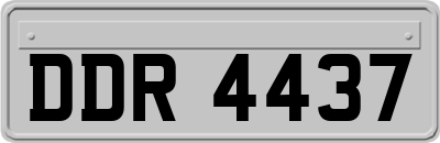 DDR4437