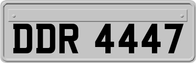 DDR4447
