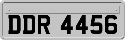 DDR4456
