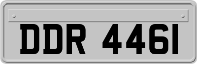 DDR4461