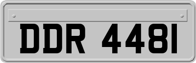 DDR4481