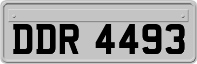 DDR4493