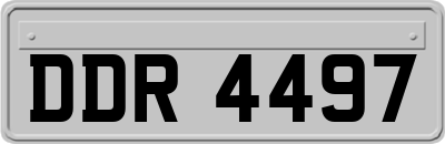 DDR4497