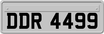 DDR4499