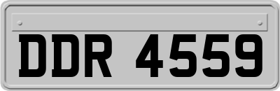 DDR4559