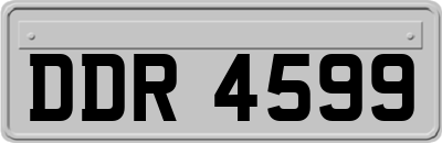 DDR4599