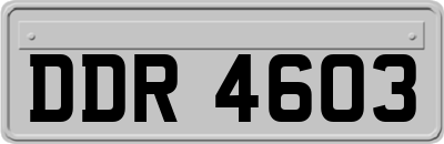 DDR4603