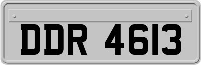 DDR4613