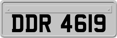 DDR4619