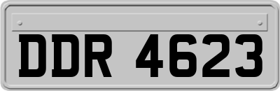 DDR4623