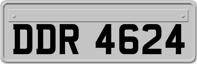 DDR4624