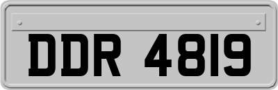 DDR4819