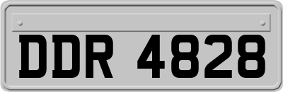 DDR4828
