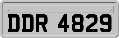 DDR4829
