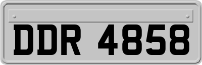 DDR4858