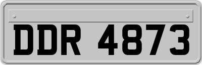 DDR4873