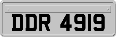 DDR4919