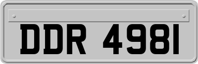 DDR4981