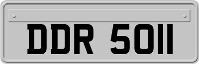 DDR5011