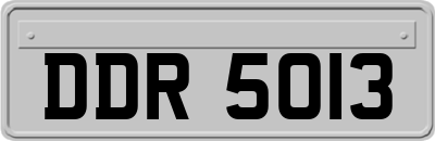 DDR5013