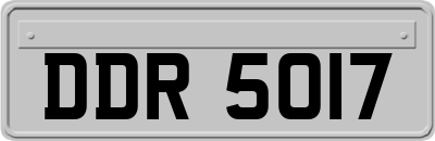 DDR5017