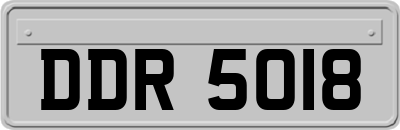 DDR5018