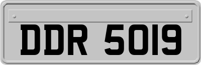 DDR5019